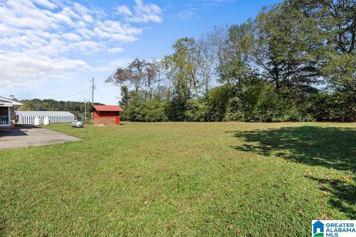 Property Photo:  20679 Main Street  AL 36273 