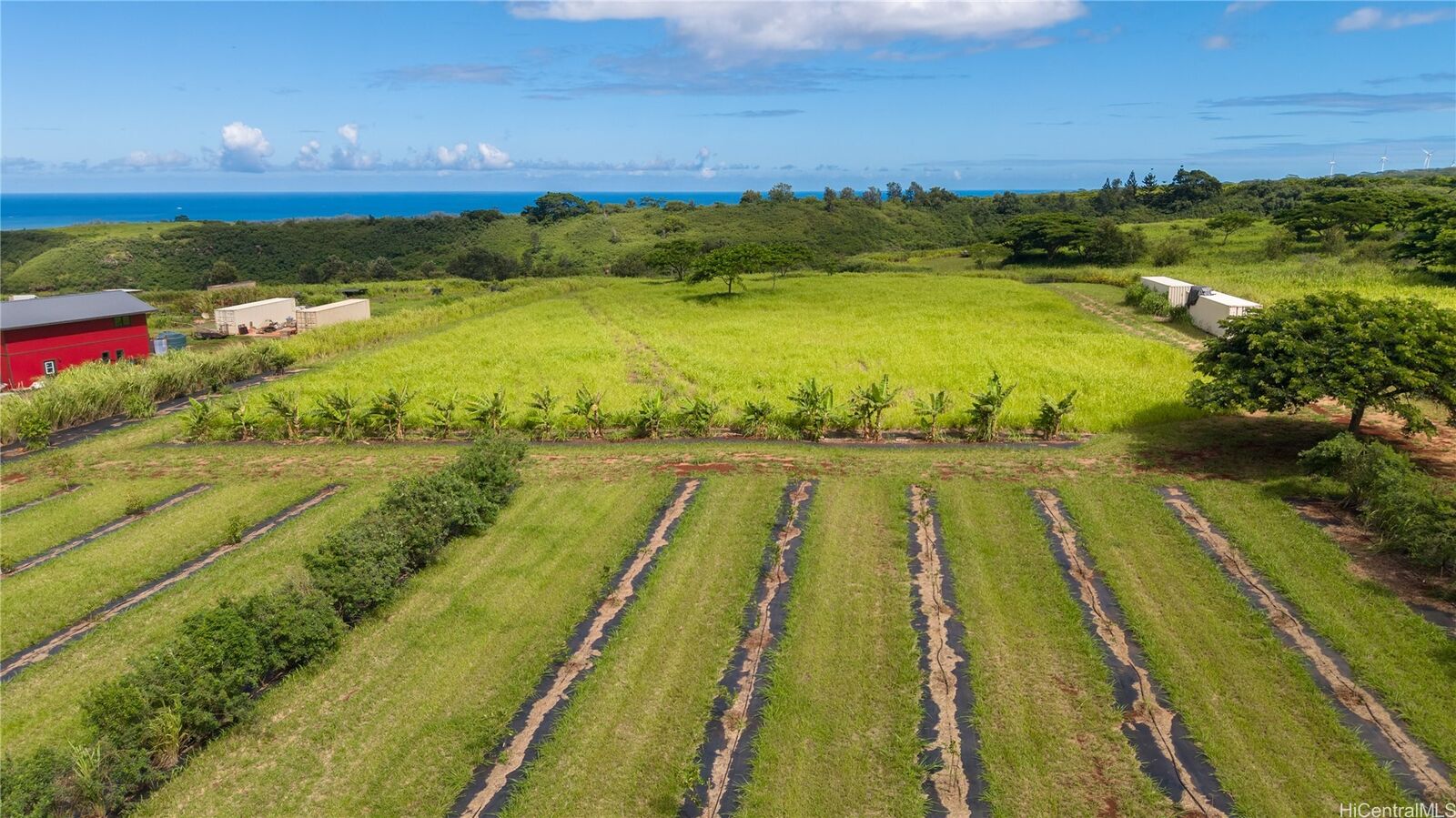 Property Photo: 64-486 Kamehameha Highway 15B HI 96712