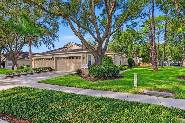 Property Photo:  19122 Doves Landing Drive  FL 33647 