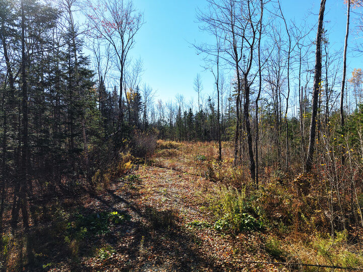 Property Photo:  301  Estabrook Road  ME 04471 