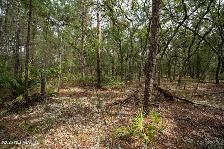 Property Photo:  5501 Indian Trail  FL 32656 