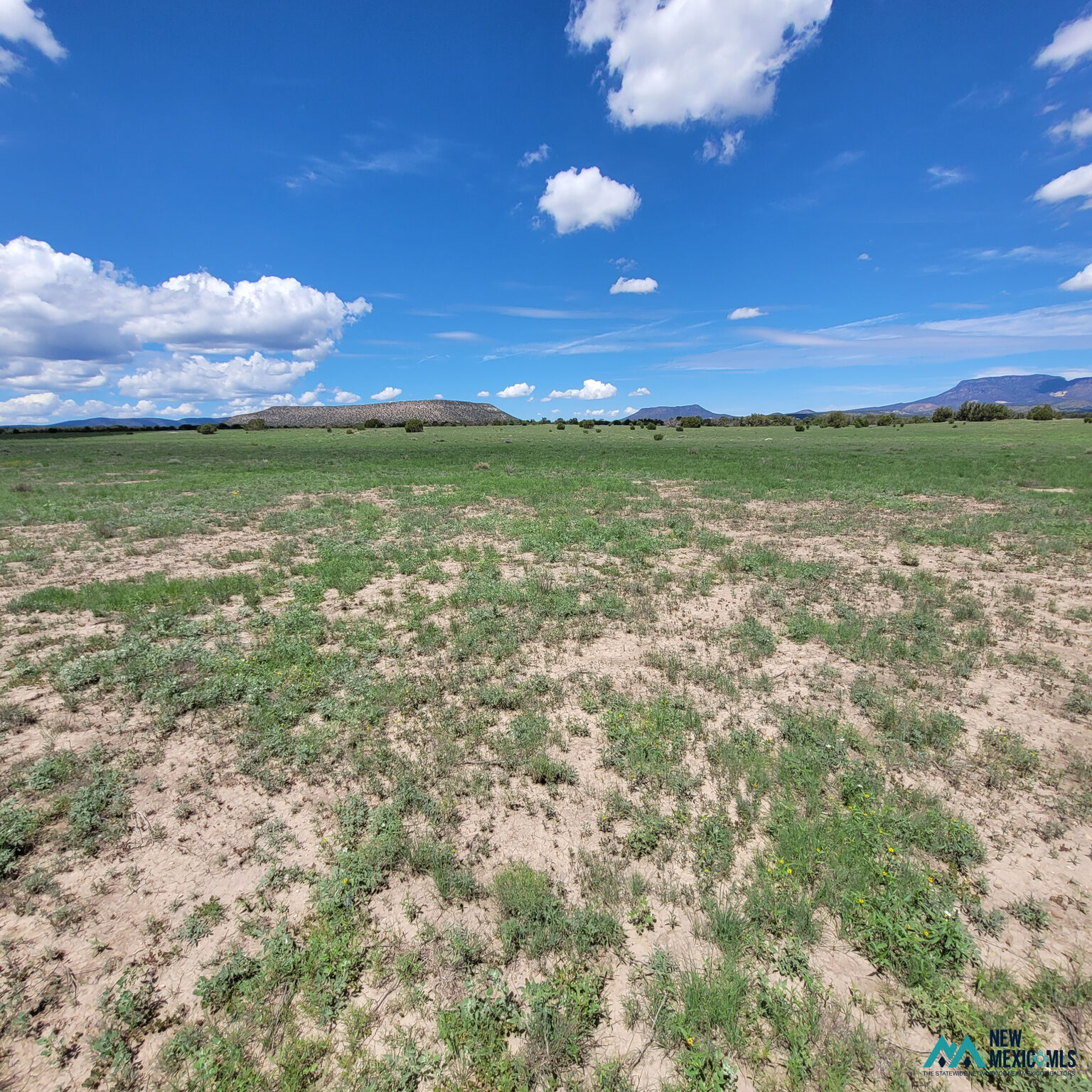 Property Photo: 17 Frontier - Lot 17 Trl 17 NM 87821