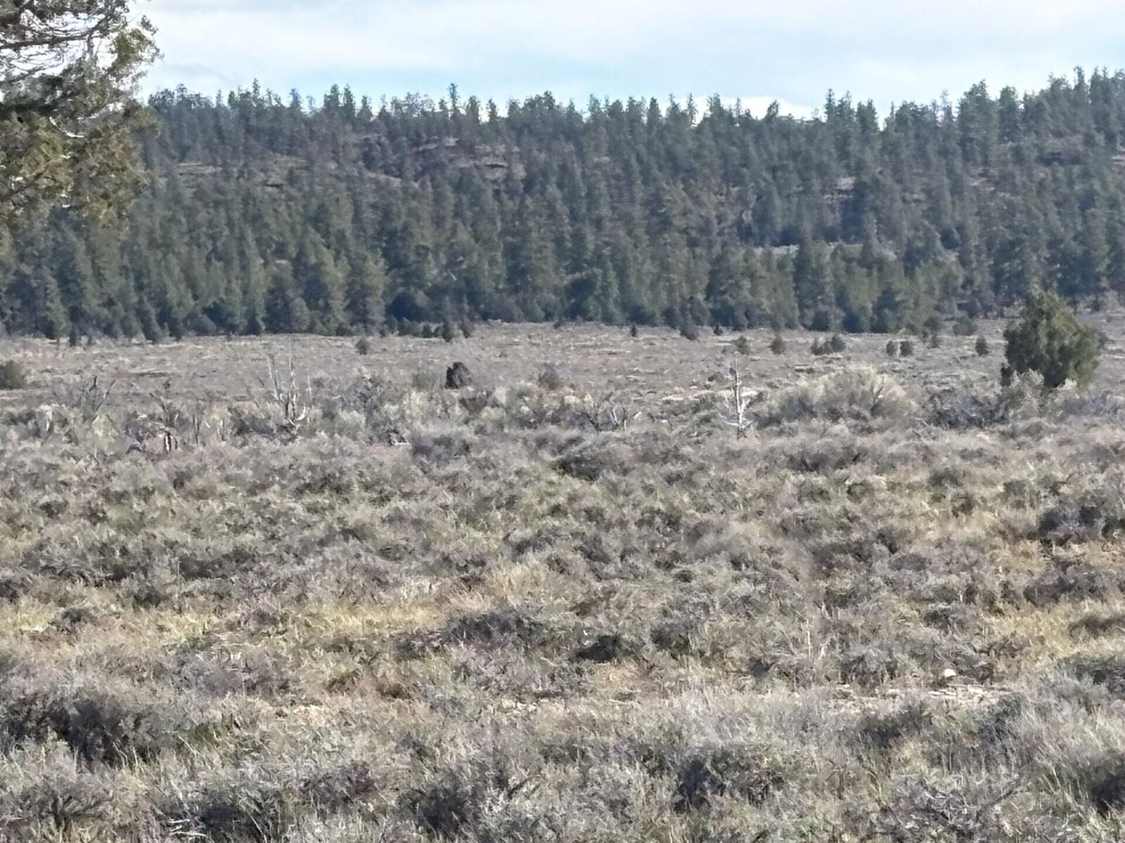 Property Photo:  10 Acres Bryce Canyon Sec 34 T33s R5w  UT 84764 