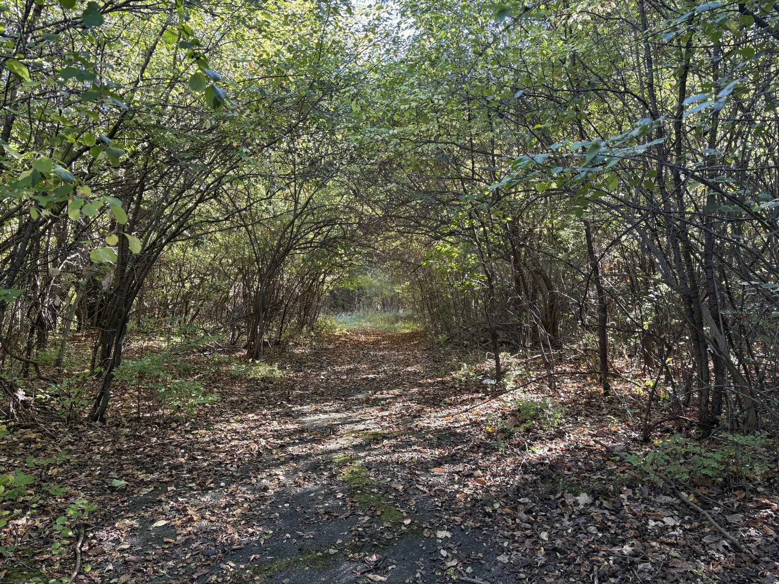 Property Photo:  Vl Clinton Way Street  MI 49201 