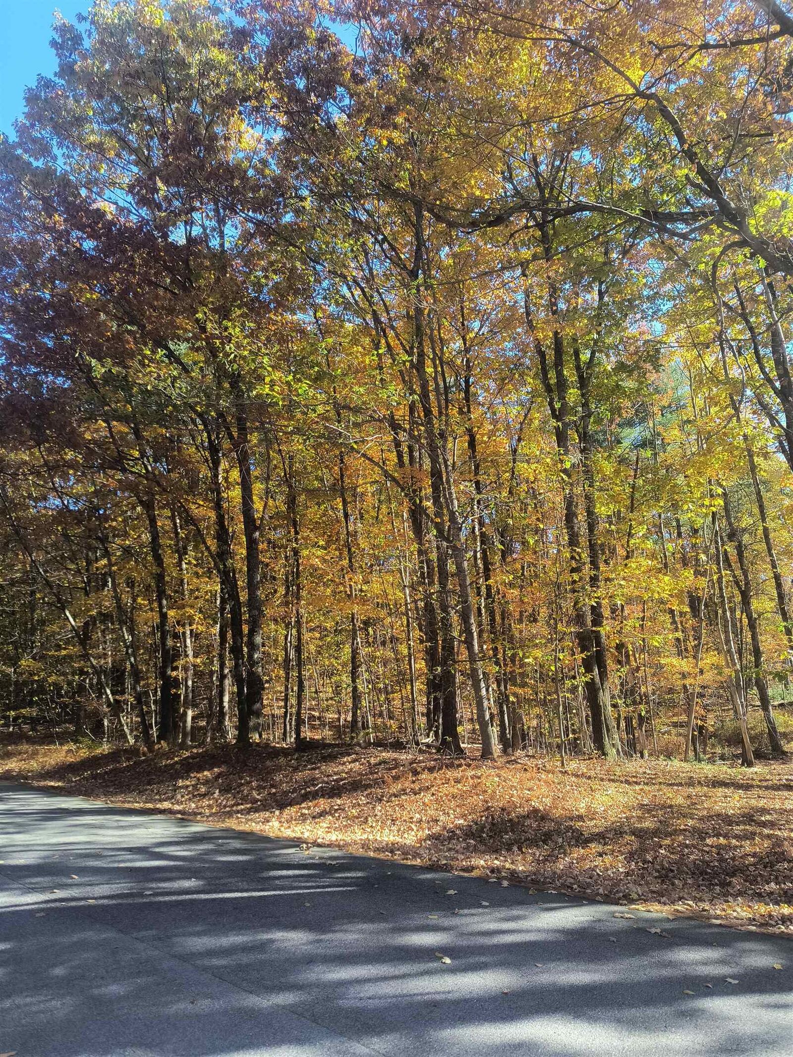 Property Photo:  Map 8 Lot 77 Province Road  NH 03884 