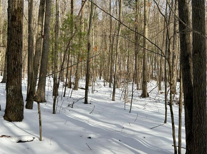 Property Photo: Hammondsport Road NY 14810