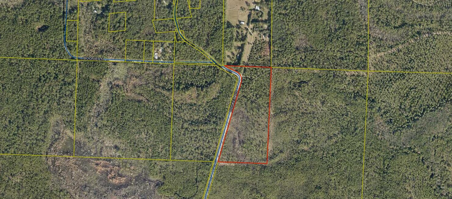 Property Photo:  Xxx Bunker Road  FL 32462 