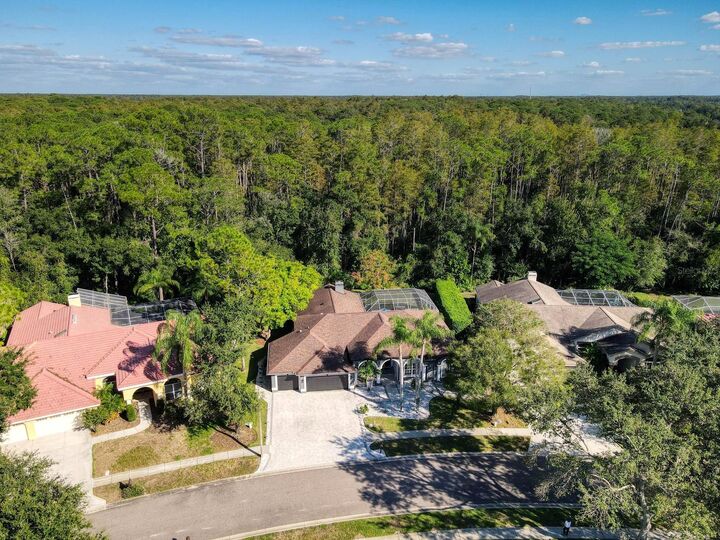 Property Photo:  4175 Kirkaldy Drive  FL 34685 