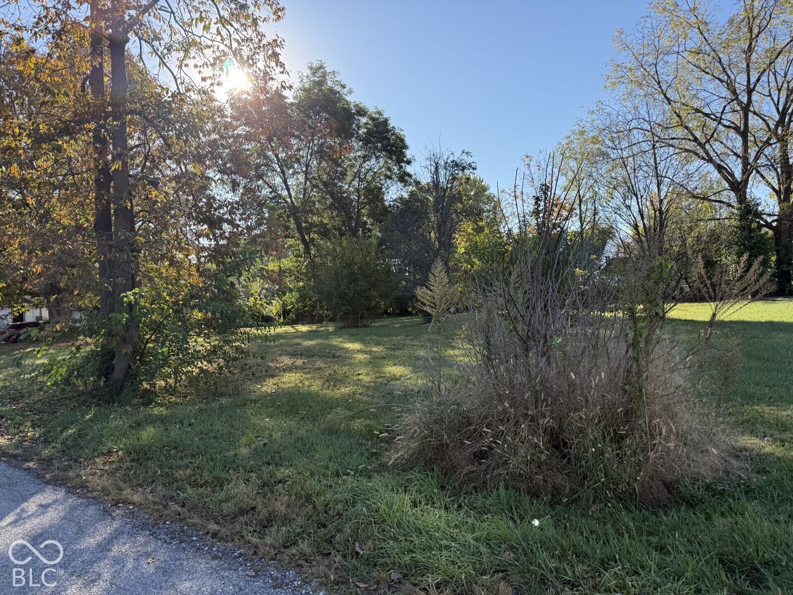 Property Photo: 419 S Bowers Street IN 46075