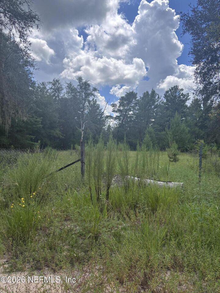 Property Photo: 207 Switzerland Street FL 32148