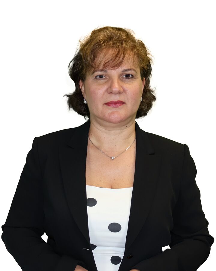 Sica Ploscaru,  in Hauppauge, Realty Connect