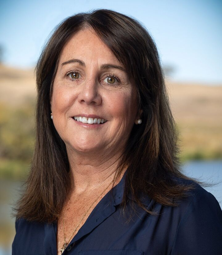 Beth Arbios, REALTOR® in Napa, Icon Properties