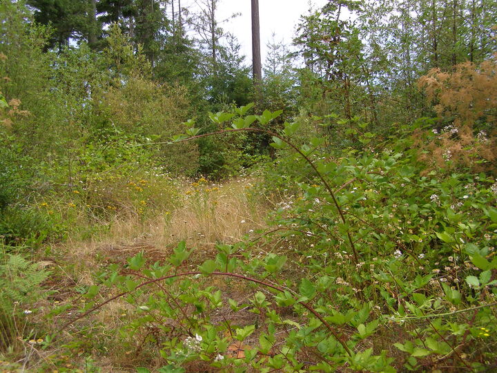 Property Photo: Exteriors 1 Cox Lane WA 98221