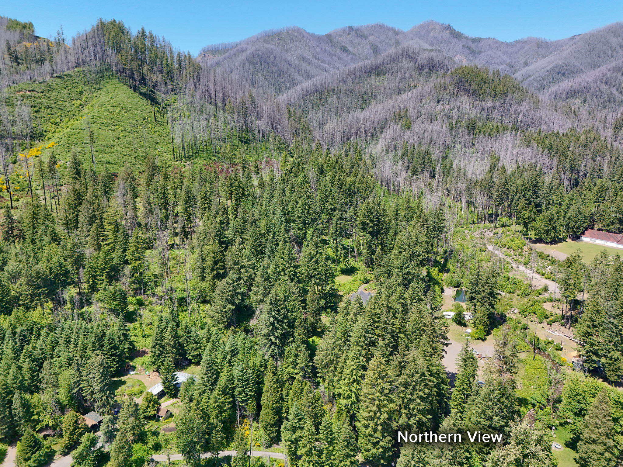 Property Photo: 51013 McKenzie Hwy OR 97488