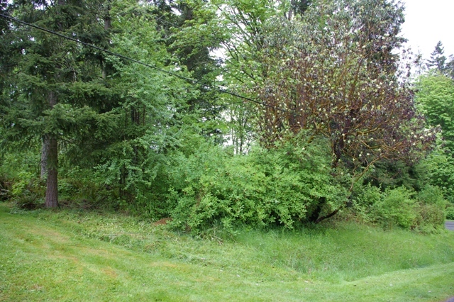 Property Photo: Exterior 0xxx Birch Lane WA 98282