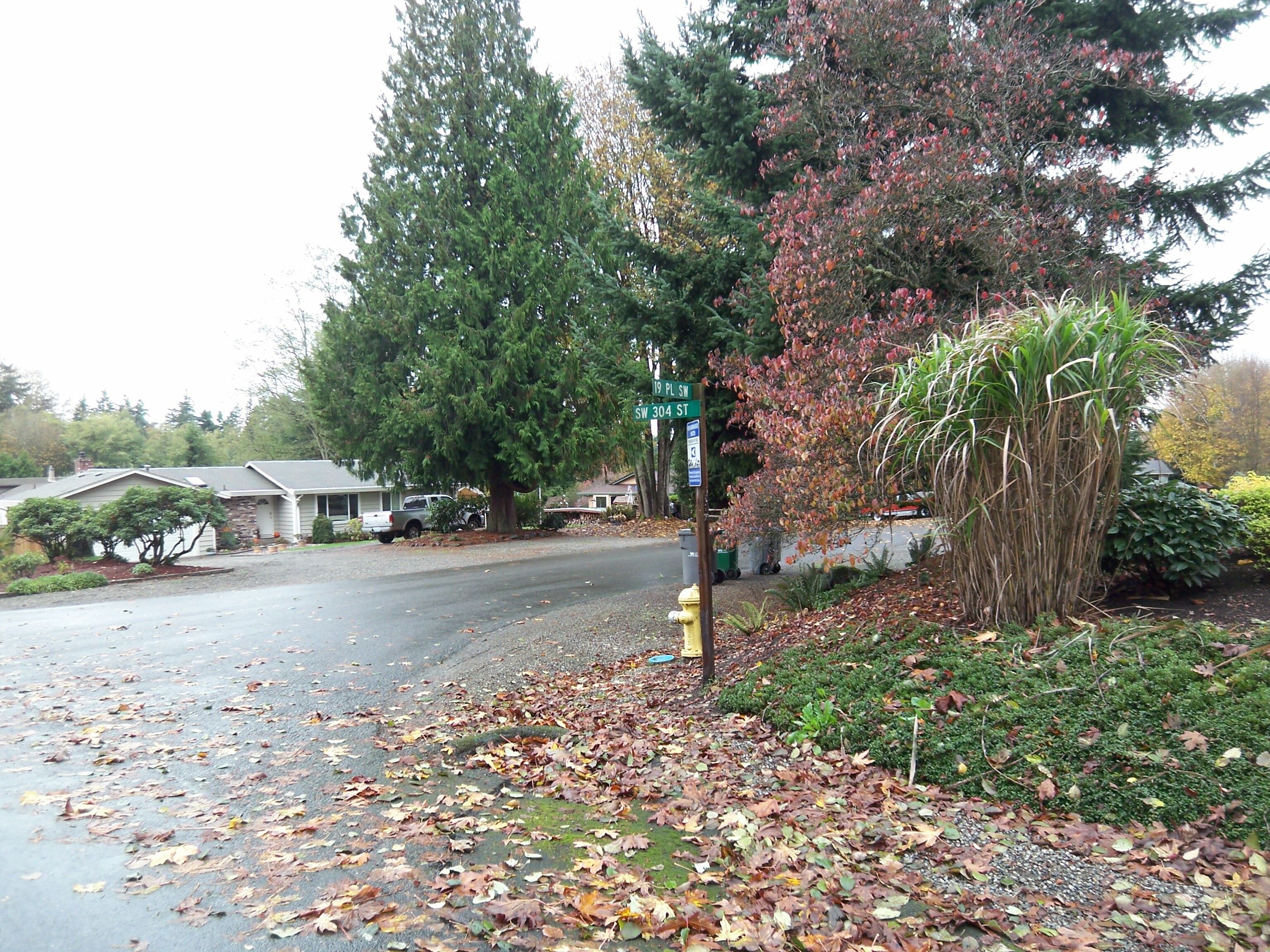 Property Photo: Rare acre parcel in adelaide 1900 304th St SW  WA 98023 
