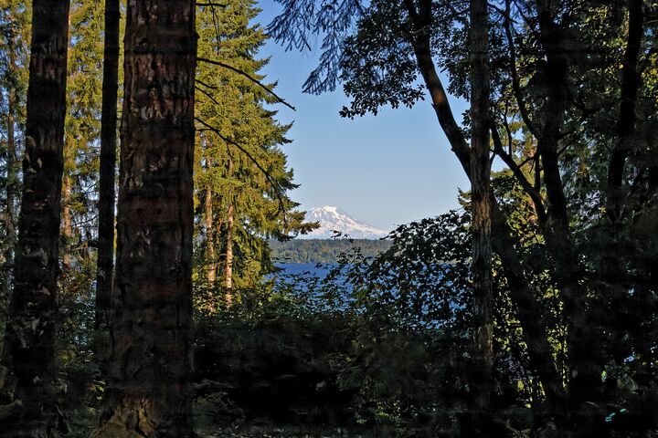 Property Photo: 250 E Crest Lane WA 98546
