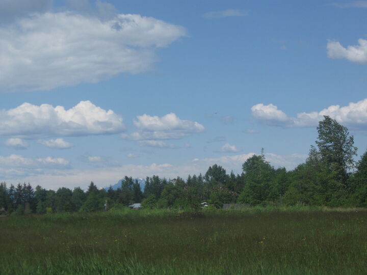 Property Photo: Flat mid county 5 acres on a non thru street 5800 Murray WA 98226