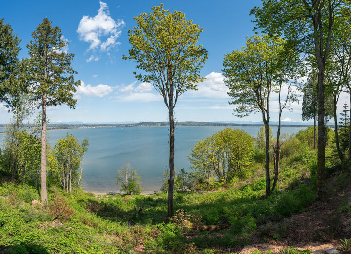 Property Photo:  0  Mallard Road  WA 98230 