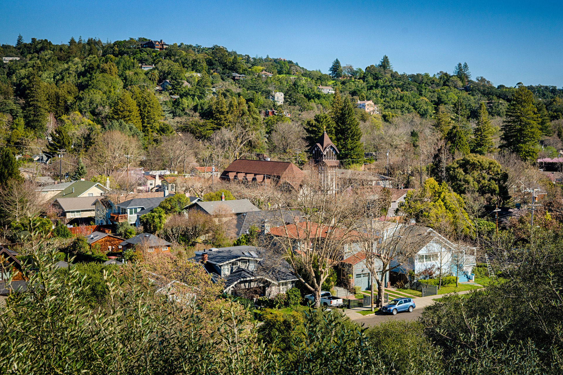 San Anselmo,San Anselmo,Icon Properties