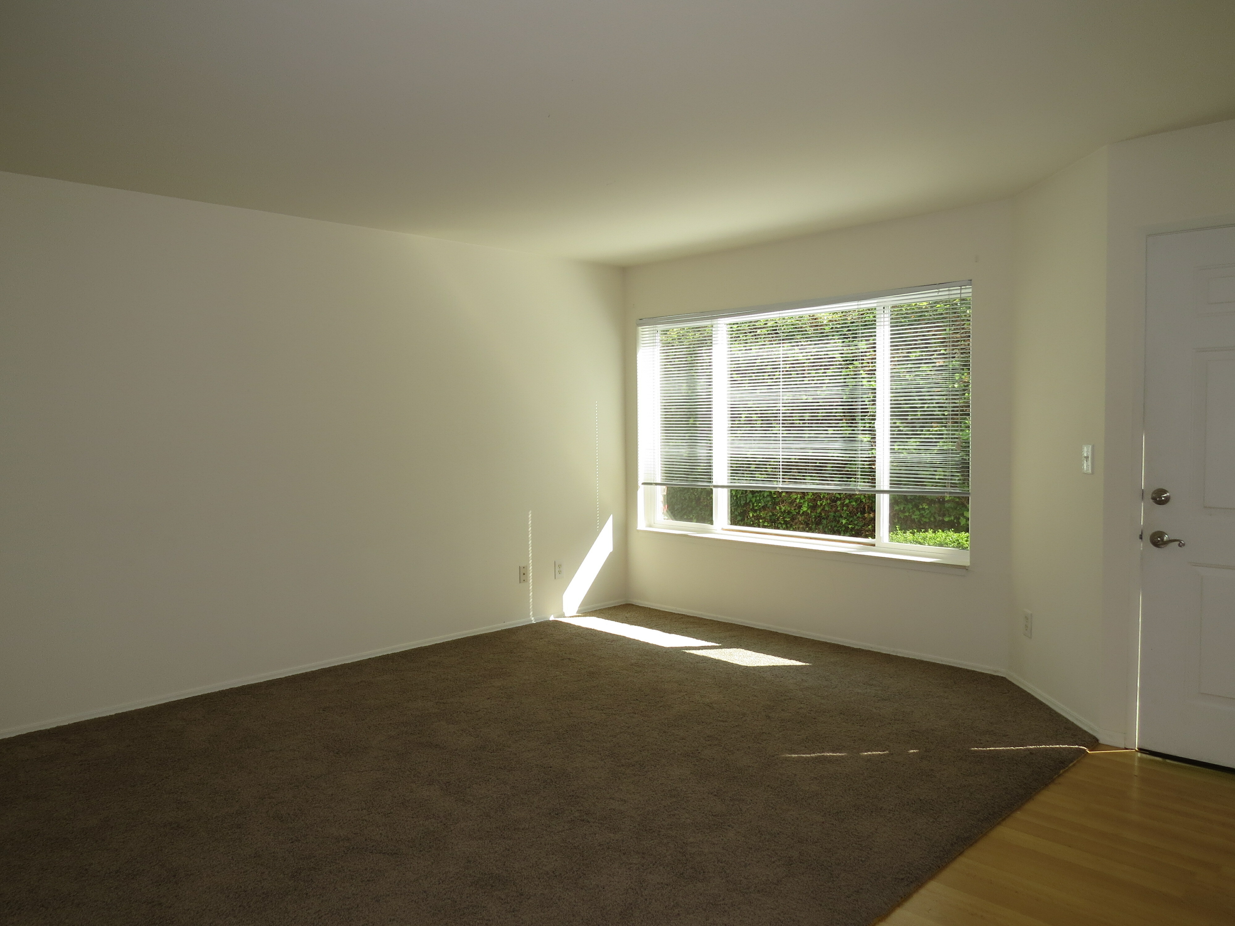 Property Photo: Living room 221 3rd Ave S 2  WA 98020 