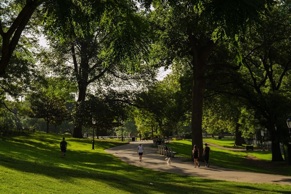 Property Photo:  300 Ashland Place 17L NY  11217 