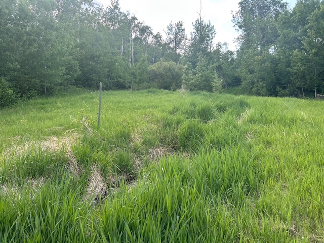 Property Photo:  Rm Of Rosedale  MB R0J 1H0 