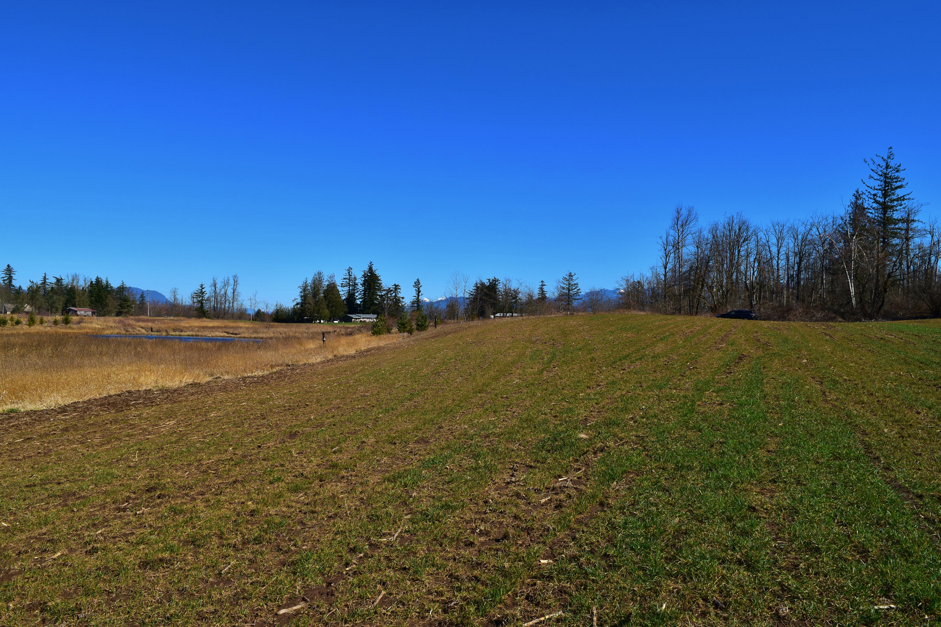 Property Photo: Proudly Introducing 2748 E Badger Rd WA 98247