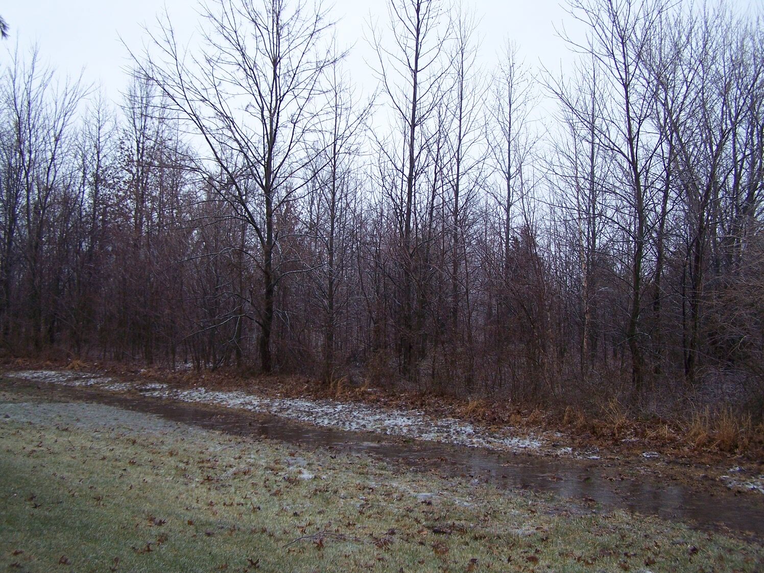 Property Photo: 0000 Adams Drive IL 62959