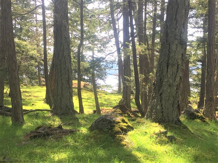 1 Decatur Highland Dr  Decatur Island WA 98221 photo